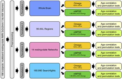 Dimensional Complexity of the Resting Brain in Healthy Aging, Using a Normalized MPSE